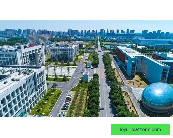 重庆足球赛事燃动山城激情打造西南体育文化新地标发展之路未来蓝图